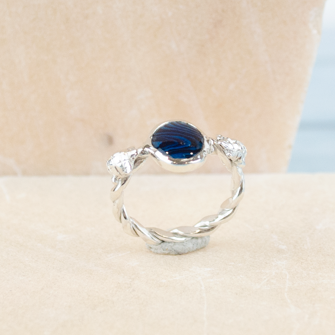 Sea Life Ring Turtles Anel Anillo