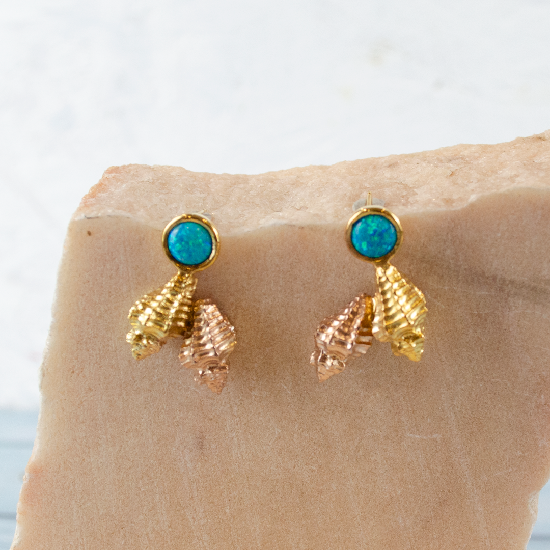 Brincos Pendientes Earrings